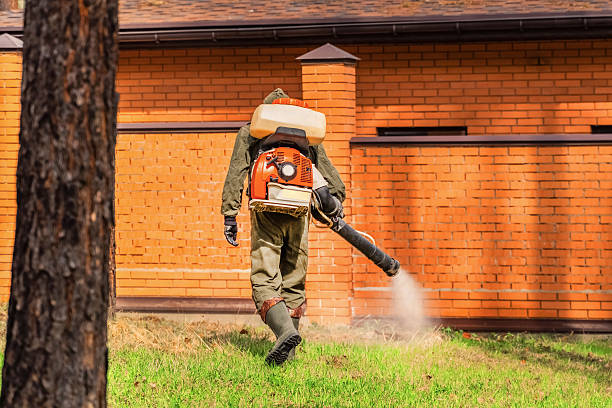 Bed Bug Clearance Verification and Documentation in Cole Camp